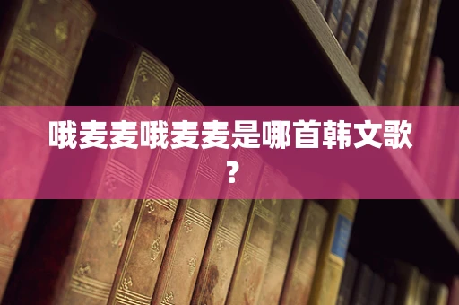 哦麦麦哦麦麦是哪首韩文歌？