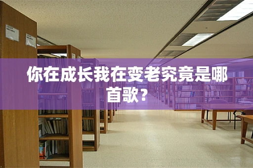 你在成长我在变老究竟是哪首歌？